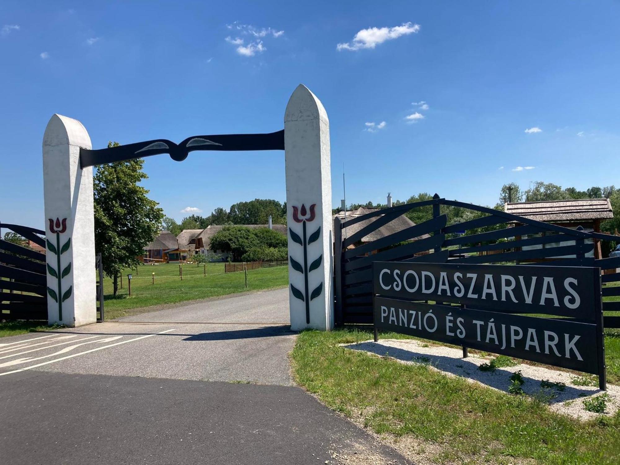 Csodaszarvas Vendeghazak Rabahidveg Exterior photo